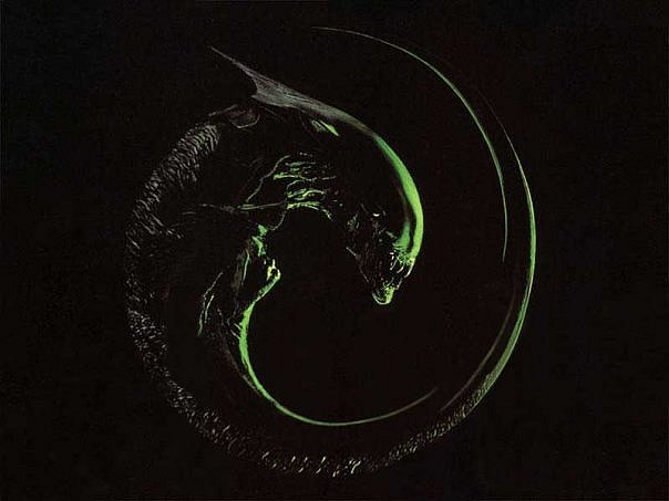 №153, Олег Рой, 31 год, Ростов-на-Дону №153, Олег Рой, 31 год, Ростов-на-Дону