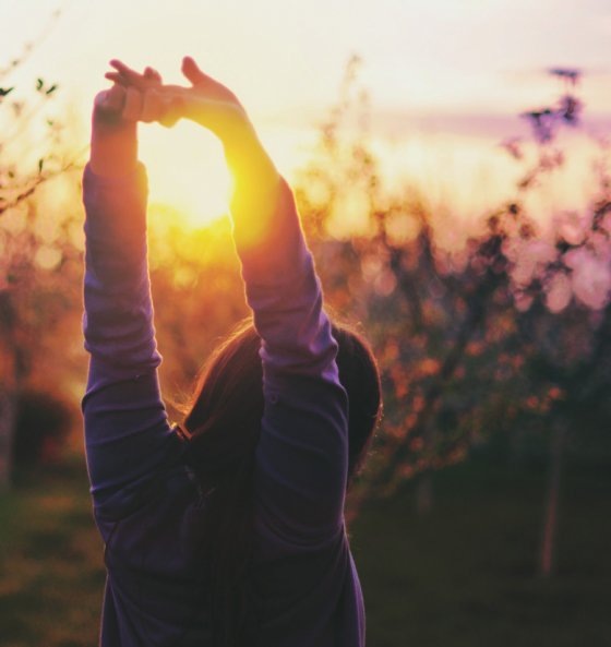 №48, Сона Погосян, Ереван №48, Сона Погосян, Ереван