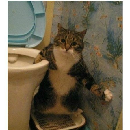 Артем Студеникин (((Dance for Life))) | Волгоград