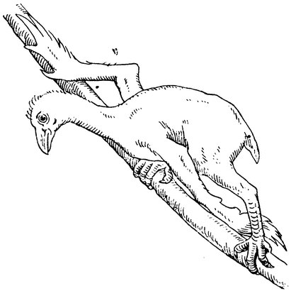 Полина Дворниченко | Москва