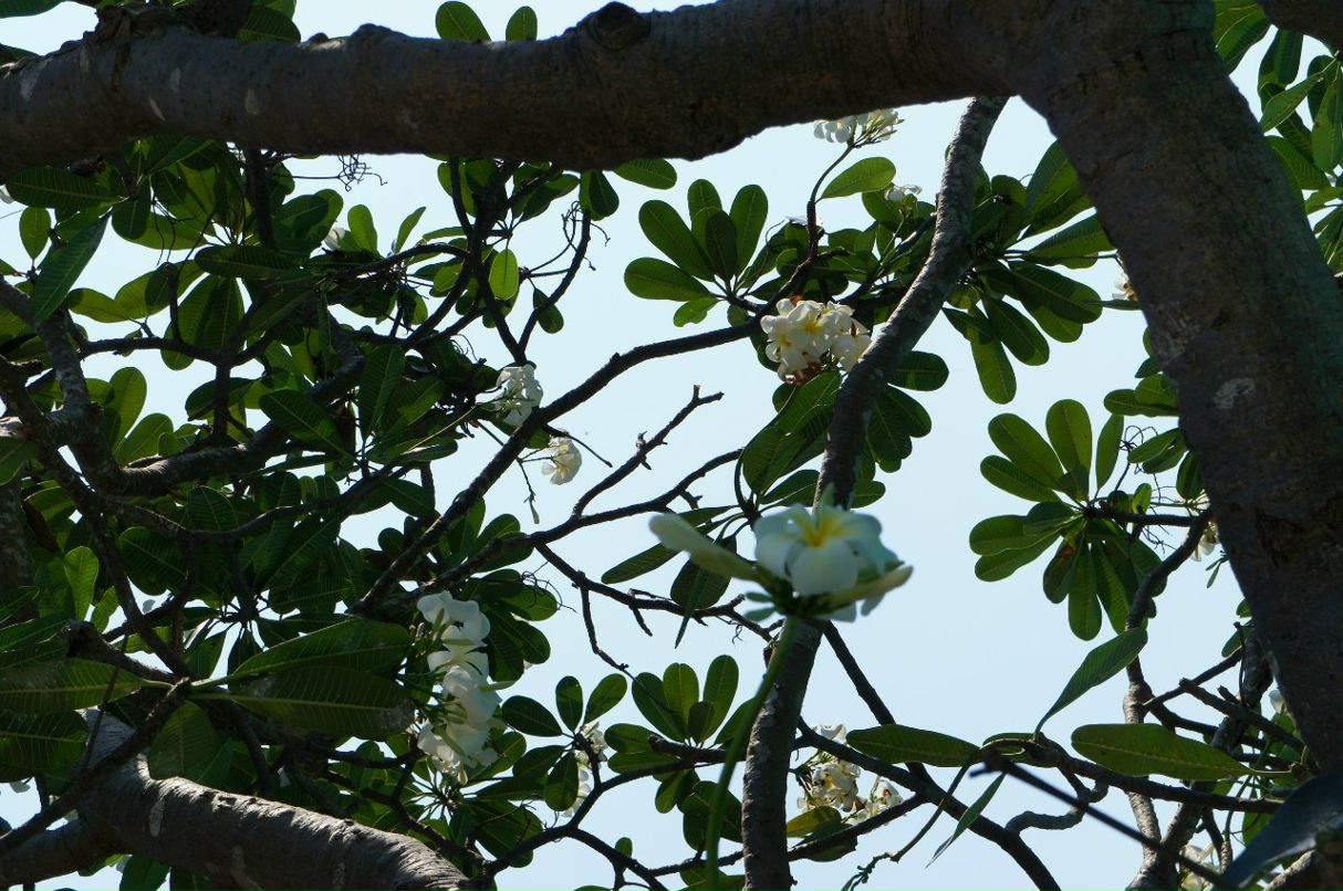 Анюта Кудряшка ✿ ܓs*iy ✿ ܓ | Новосибирск