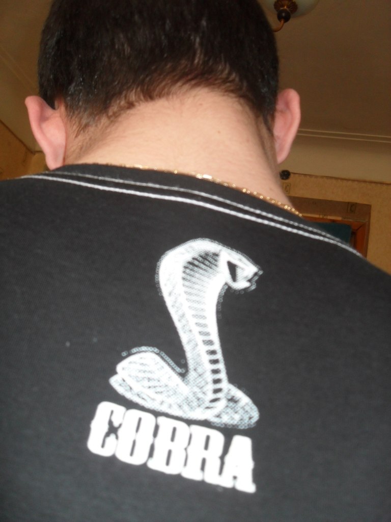 Рома Просторома | Виноградов