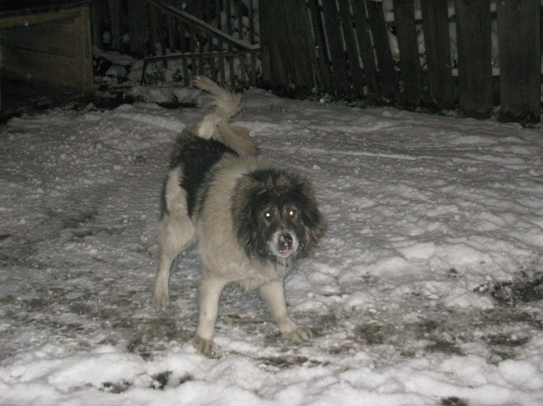 Алексей Воробьев | Дно