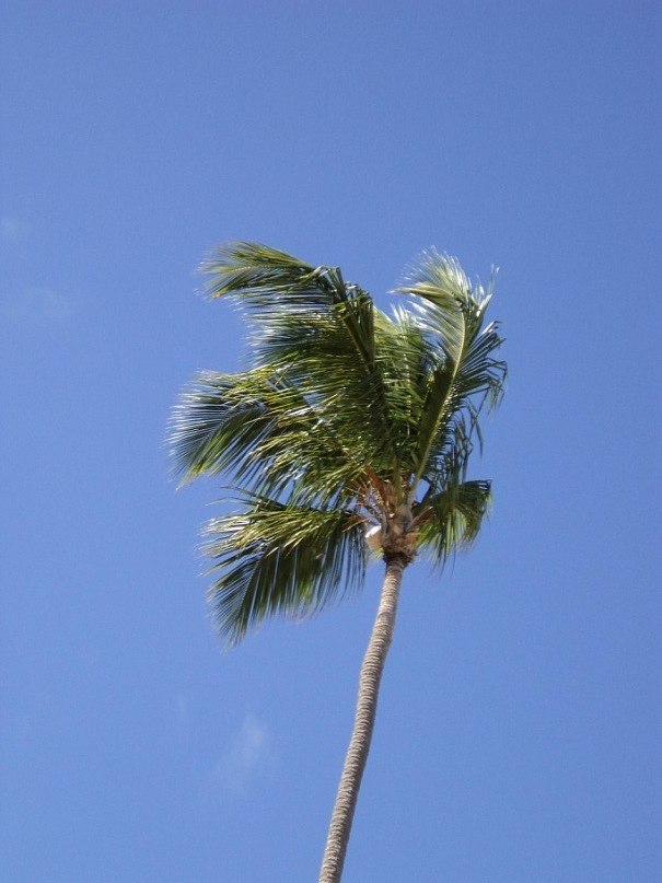 Евгений Трофимов | Вельск