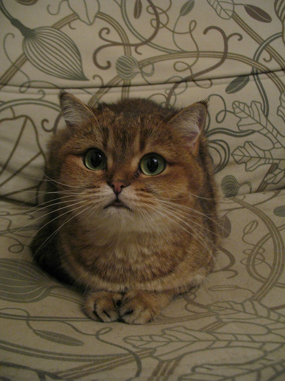 Наташа Жеблиенок | Санкт-Петербург