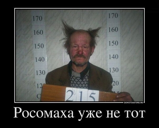 Николай Резанов | Белгород