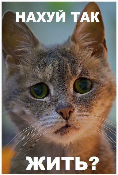 Илья Устимов | Владикавказ