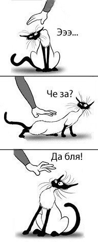 Irina Turbina | Нижний Новгород