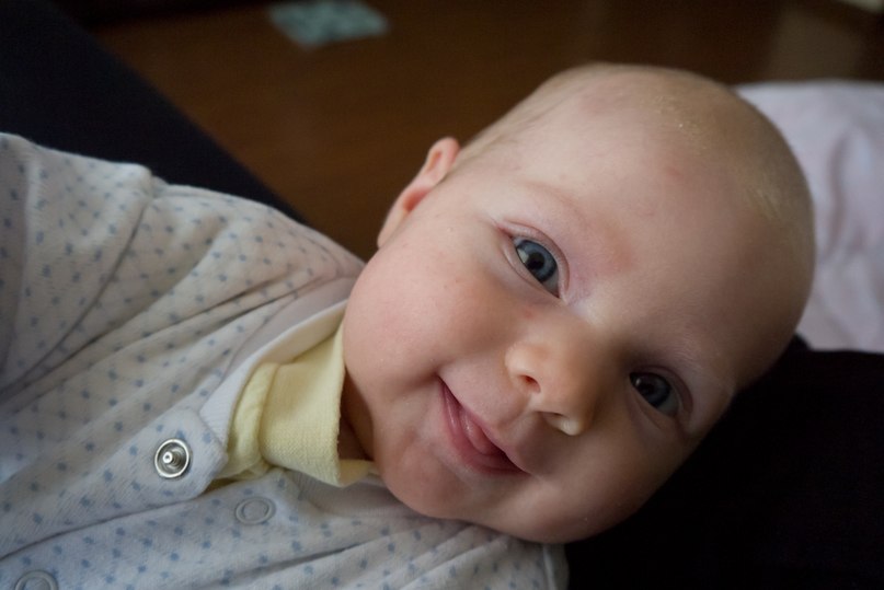 Наталья Шевницына | Вологда