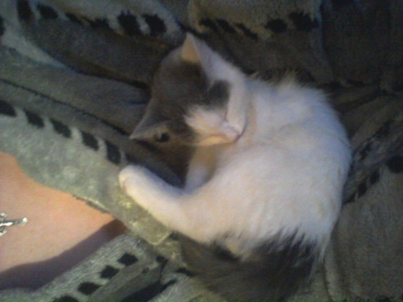 Sveta Maslova | Санкт-Петербург