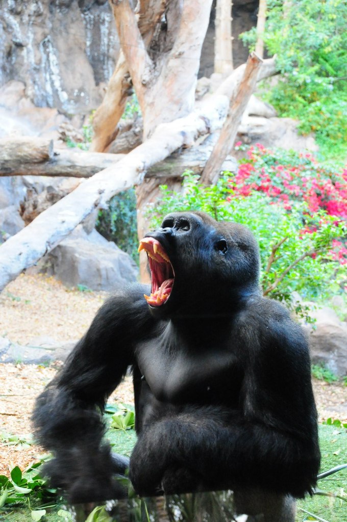 Varvara Sannikova потенциальный гений | Москва