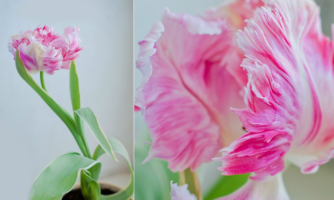 Karina Gabin | Санкт-Петербург