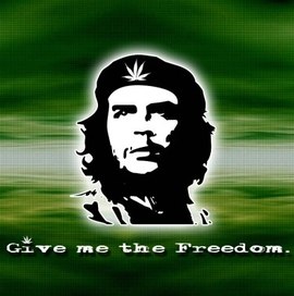 Алексей Волков | Мариуполь