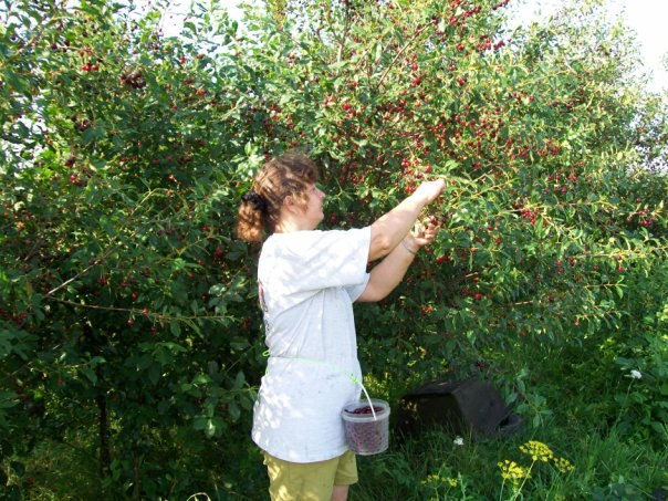 Ольга Рябова | Нелидово