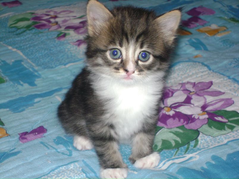 №29, Полина Гершкович, 27 лет, Северодвинск №29, Полина Гершкович, 27 лет, Северодвинск