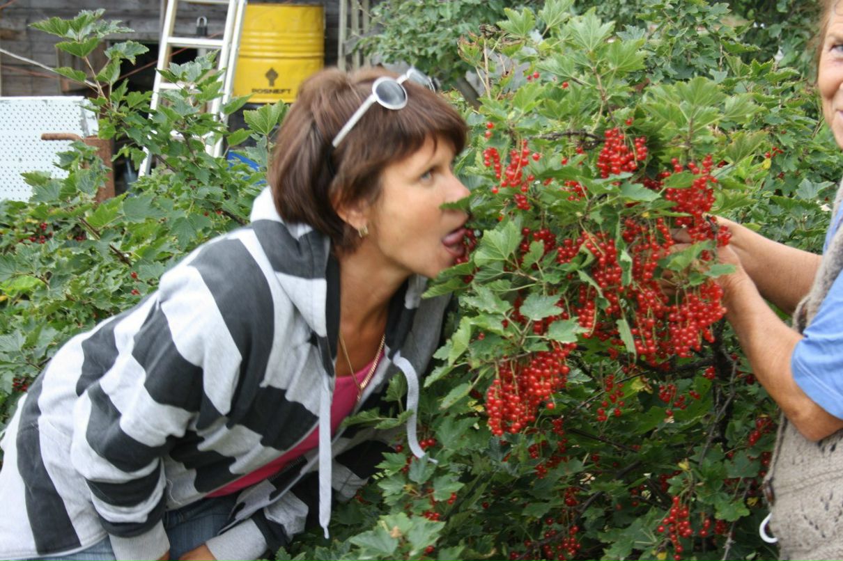 Ирина Савельева | Санкт-Петербург