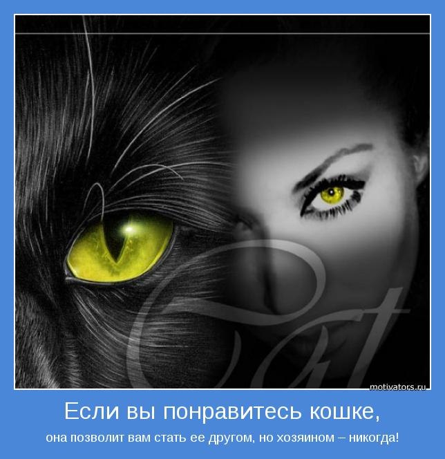 Иринка Монстр | 