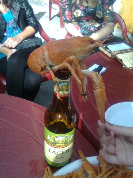 Саша Куйбышев | Киев