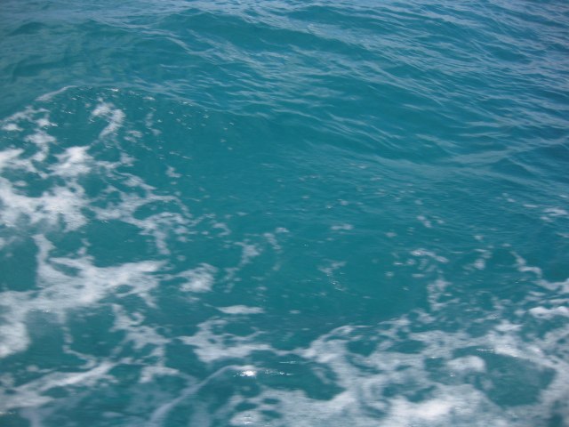 Юлия Андриенко | Санкт-Петербург