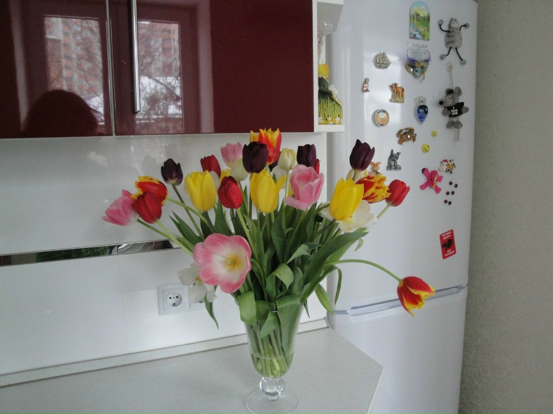 Юлия Бортницкая | Киев