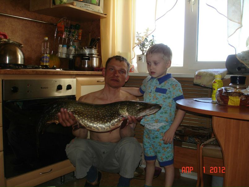 №87, Денис Вавилов, Санкт-Петербург №87, Денис Вавилов, Санкт-Петербург