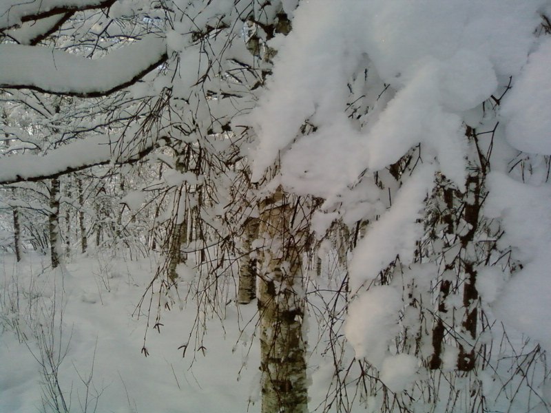 Ольга Смирнова/Виитало/ | Санкт-Петербург