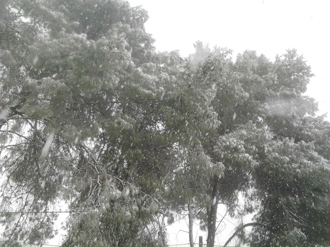 Осама Боллейн ...еще один... | Иерусалим