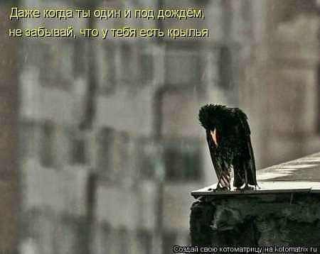 №1, Сергей Цвелой, Красноярск №1, Сергей Цвелой, Красноярск