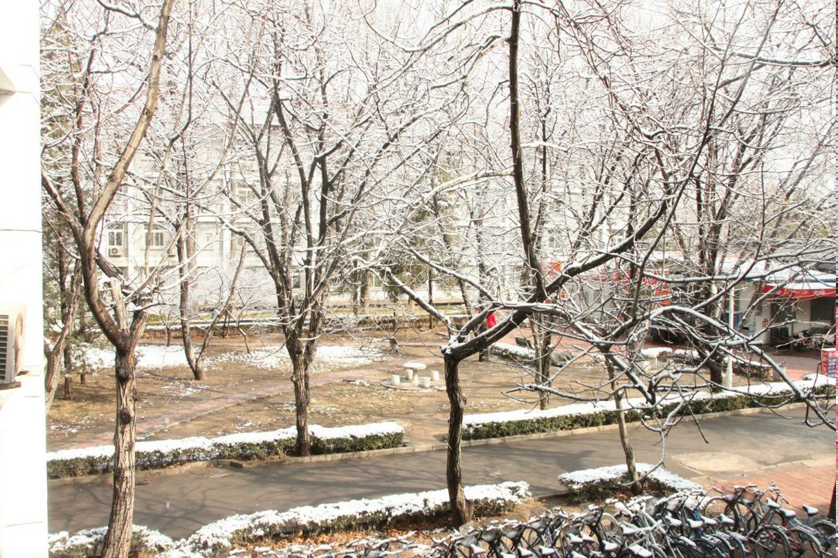 Дарья Завгородняя | Tianjin