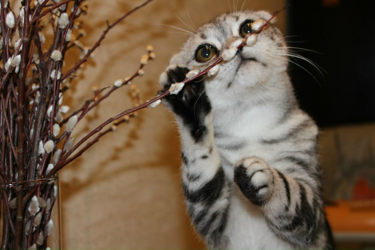 Ирина Савченко | 