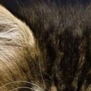 №57, Елена Ломакина, Wrocław №57, Елена Ломакина, Wrocław