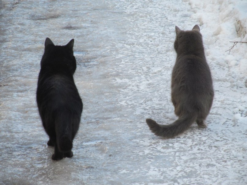 Виталий Сивоконь | Херсон