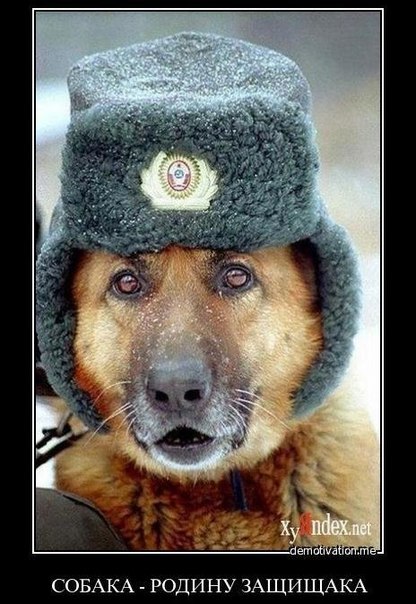 Андрей Лефутуренко | Киев