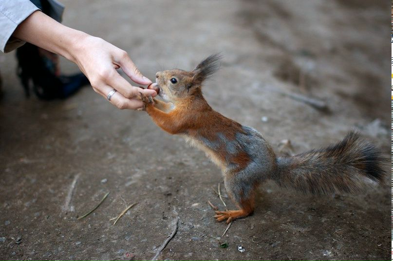 Таня Коломиец | Киев