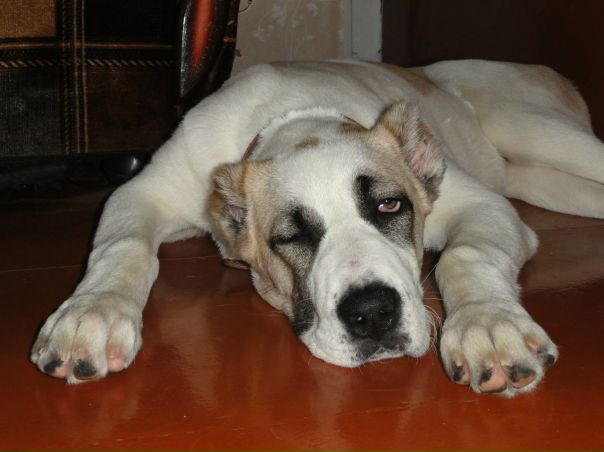 №92, Зинаида Комарова, 65 лет, Белгород №92, Зинаида Комарова, 65 лет, Белгород