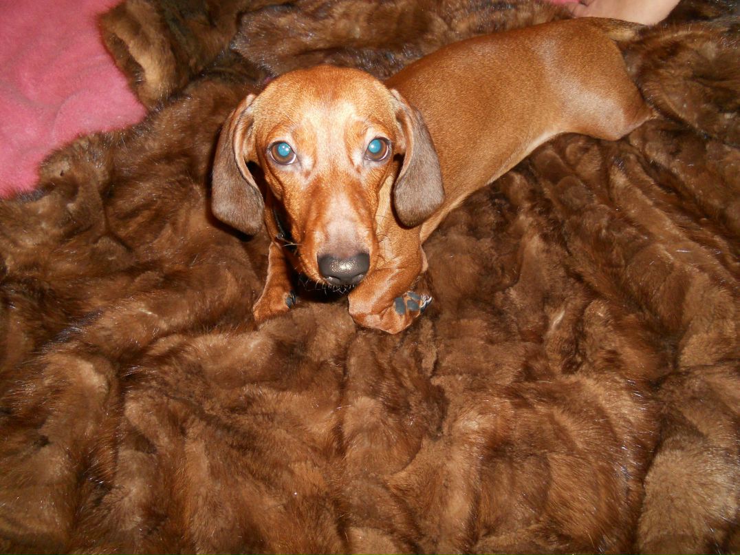 Александр Толтонов | Петрозаводск