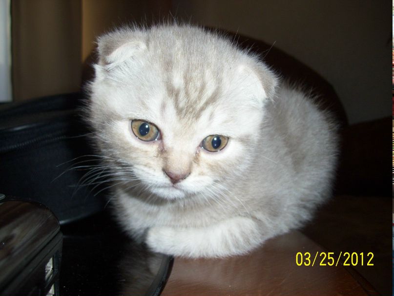 Ирина Пашникова | Кандалакша