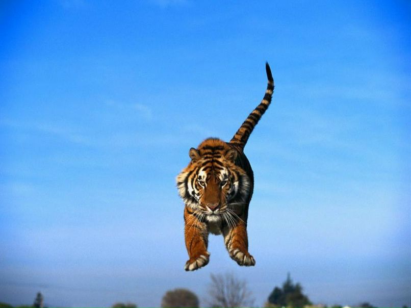 Антон Гапуров | Москва