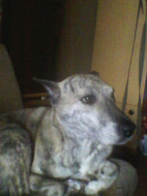 Саня Бобров | Тихвин