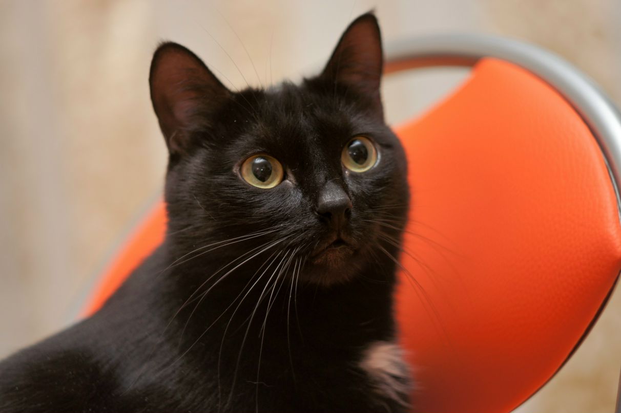 Николай Иванчик | Иркутск