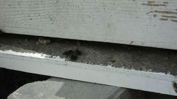 №140, Hamza Methanni, Омск №140, Hamza Methanni, Омск