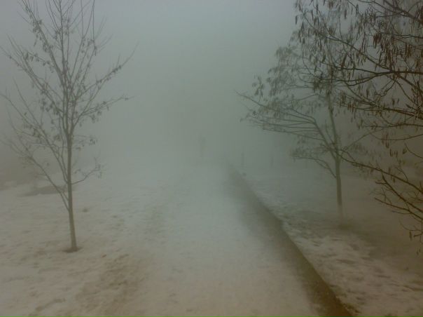 №2, Александр Трубицын №2, Александр Трубицын