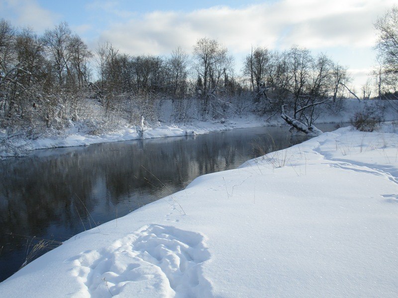 Диана Торицына | Казань