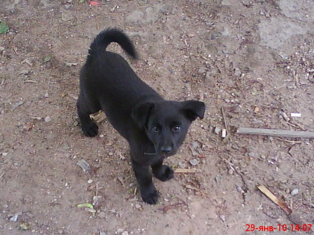 Марина Казбек | Печоры