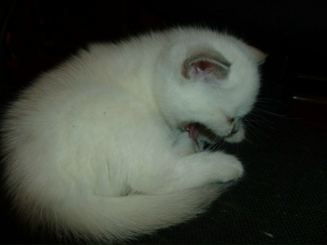 Татьяна Казанцева | Санкт-Петербург