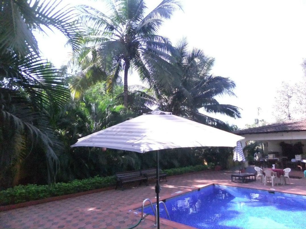 Наталья Николаева-Иванова | Санкт-Петербург