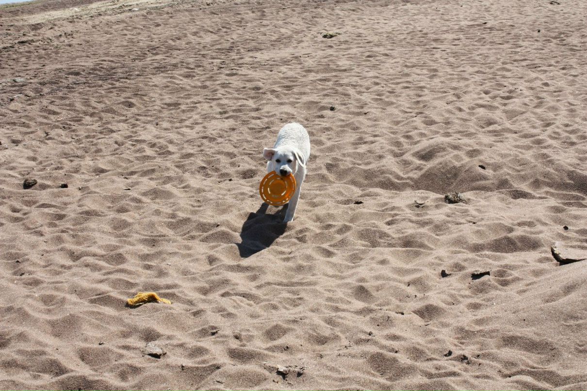 Николай Гаспирович | Санкт-Петербург