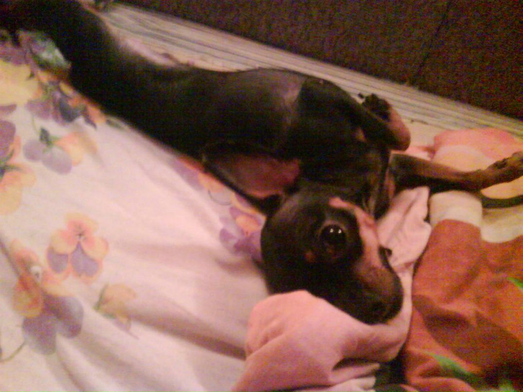 Адель Мухаметшин | Казань