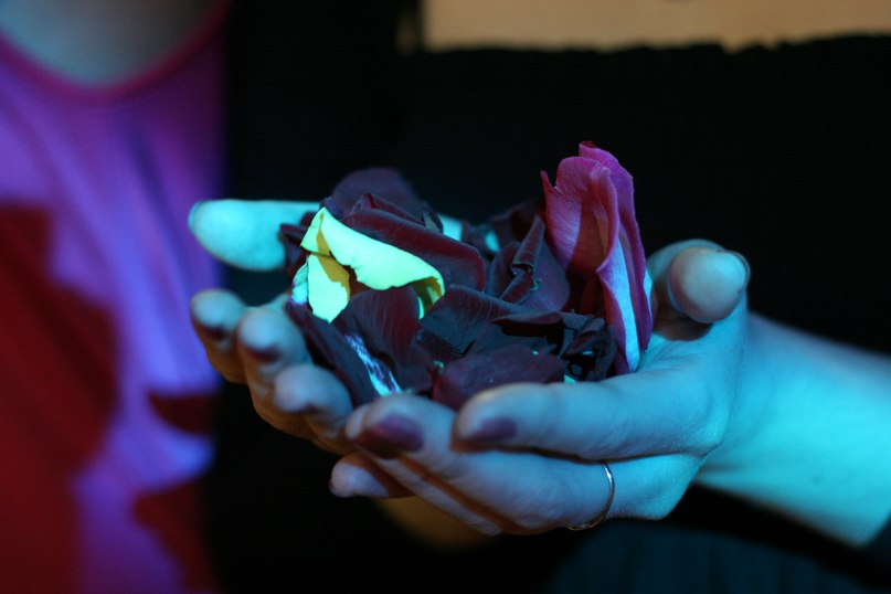 Анастасия Капитонова(Степашкина) | Нижний Тагил