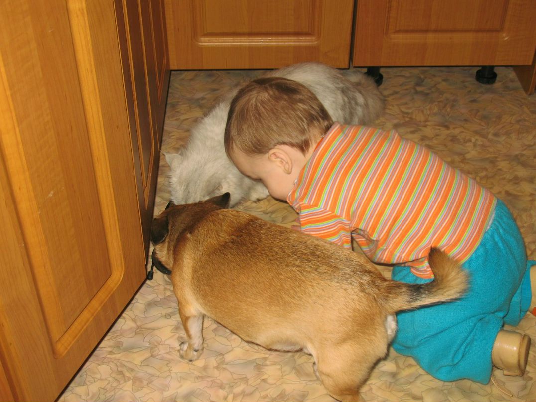 Алексей Кацапов | Чехов